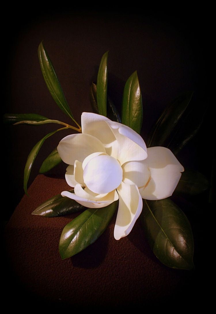 AWAPUHI (Maui White Lily Flowers)